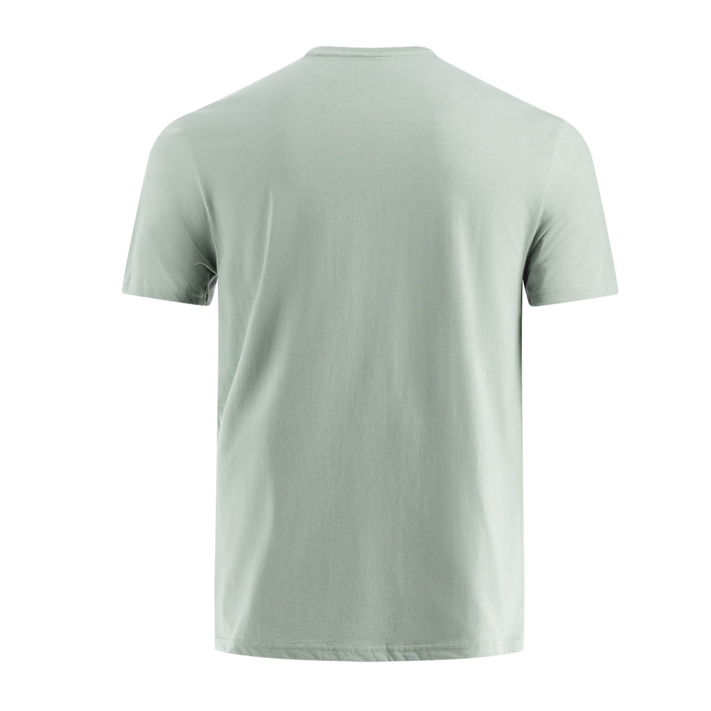 back of mint green men's short sleeve t-shirt