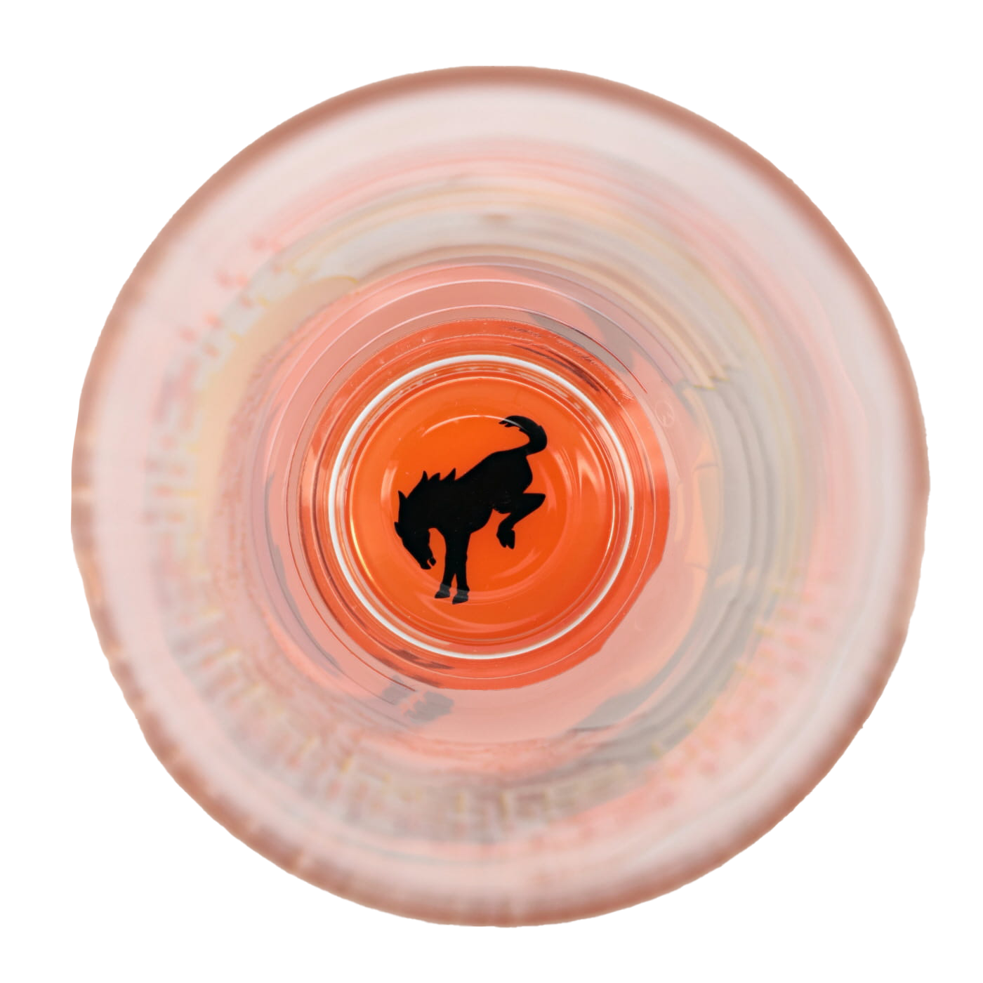 Ford Bronco 16oz Striped Desert Scene Pint Glass