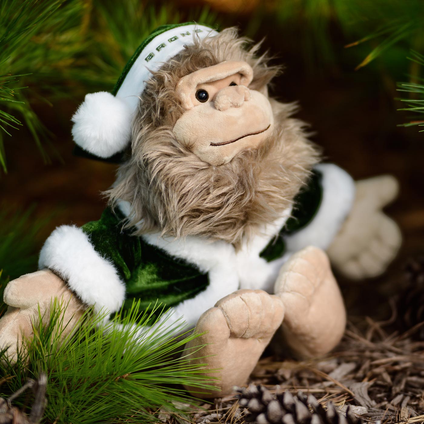 bronco sasquatch sitting in a pine area under tree