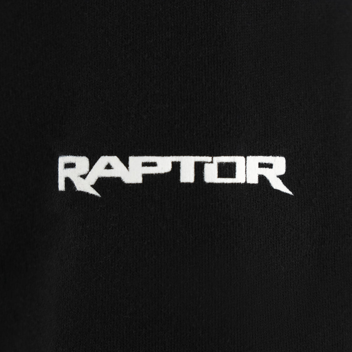 White 'Raptor' logo on a black background