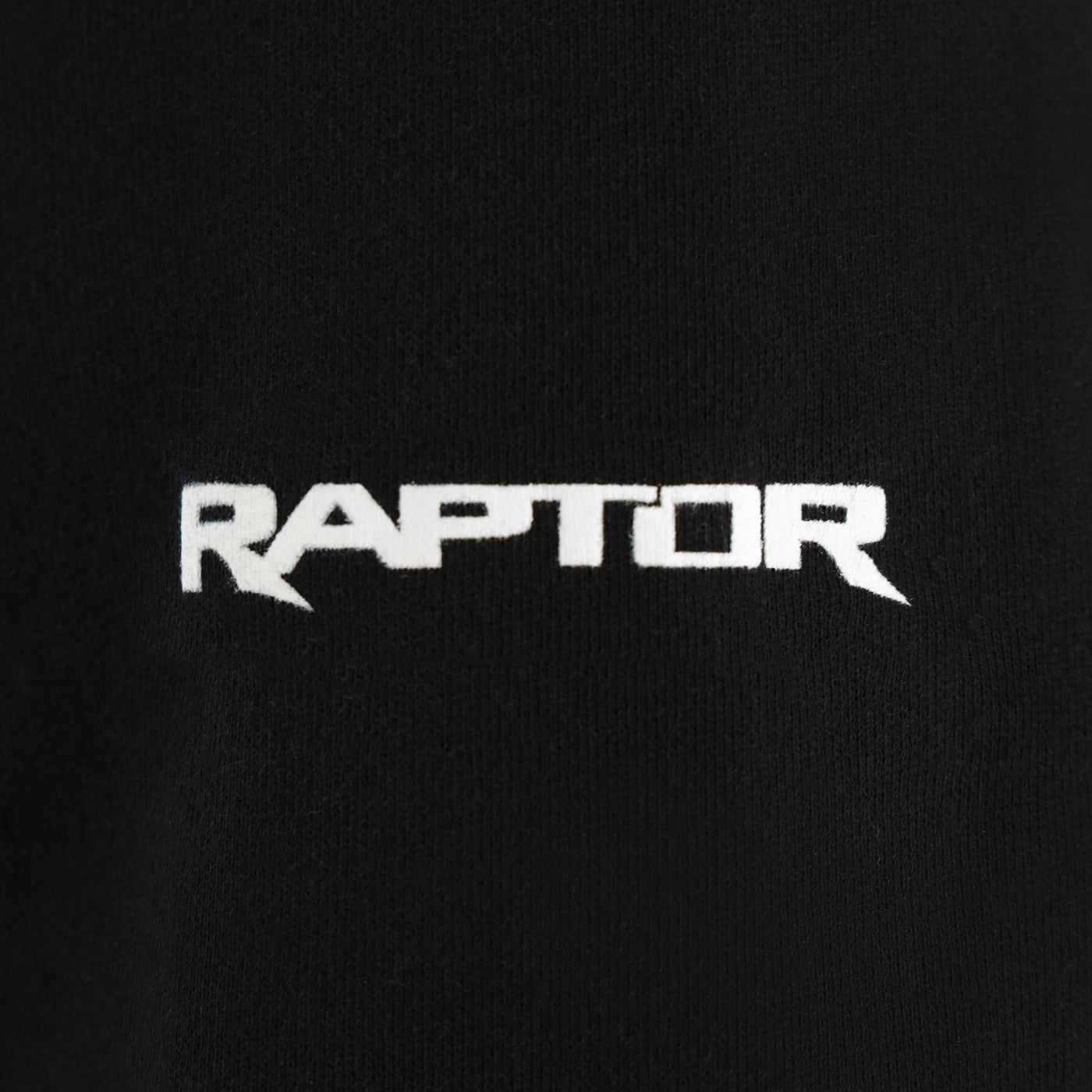 White 'Raptor' logo on a black background