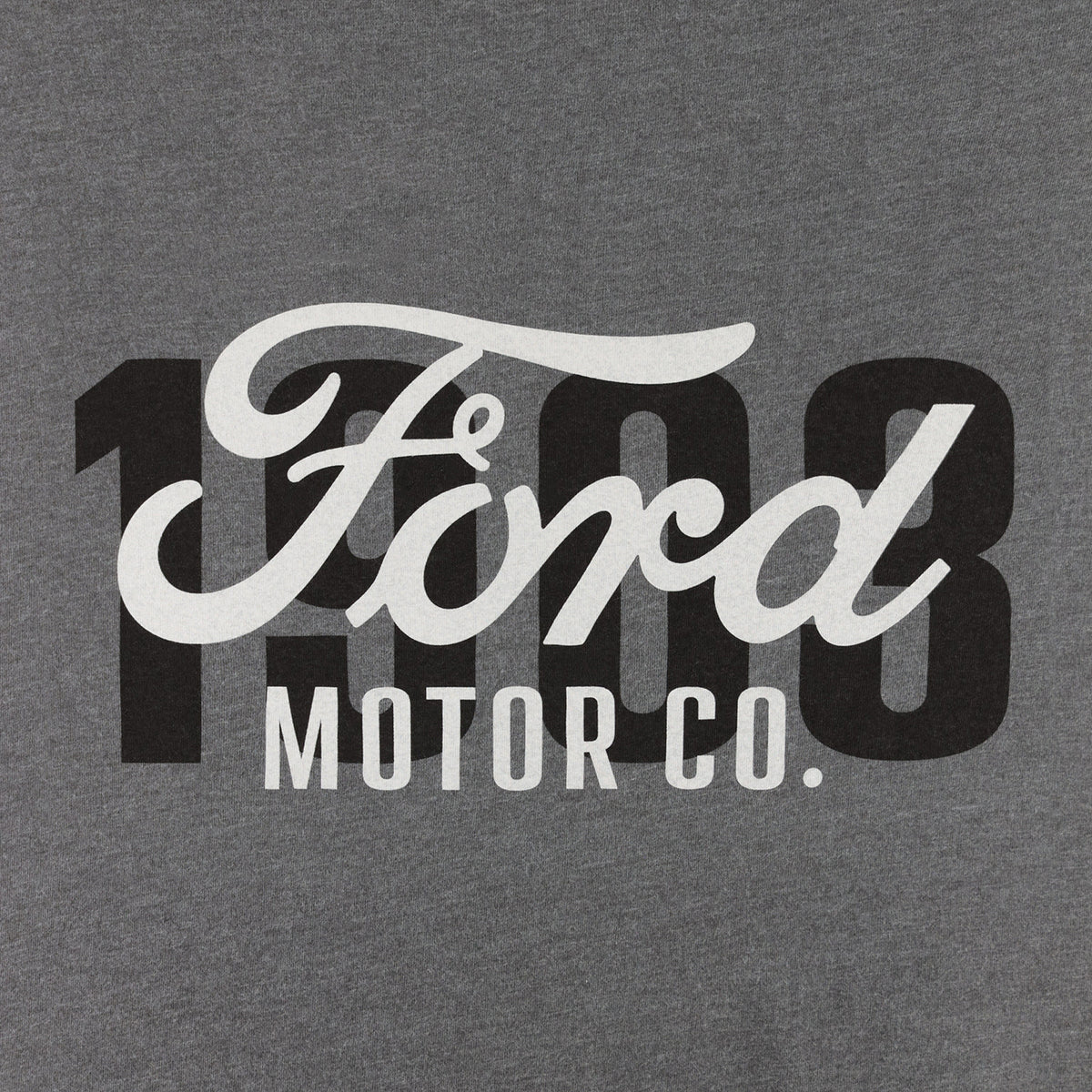 Ford Motor Co logo on a gray background