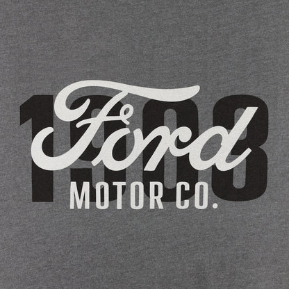 Ford Motor Co logo on a gray background