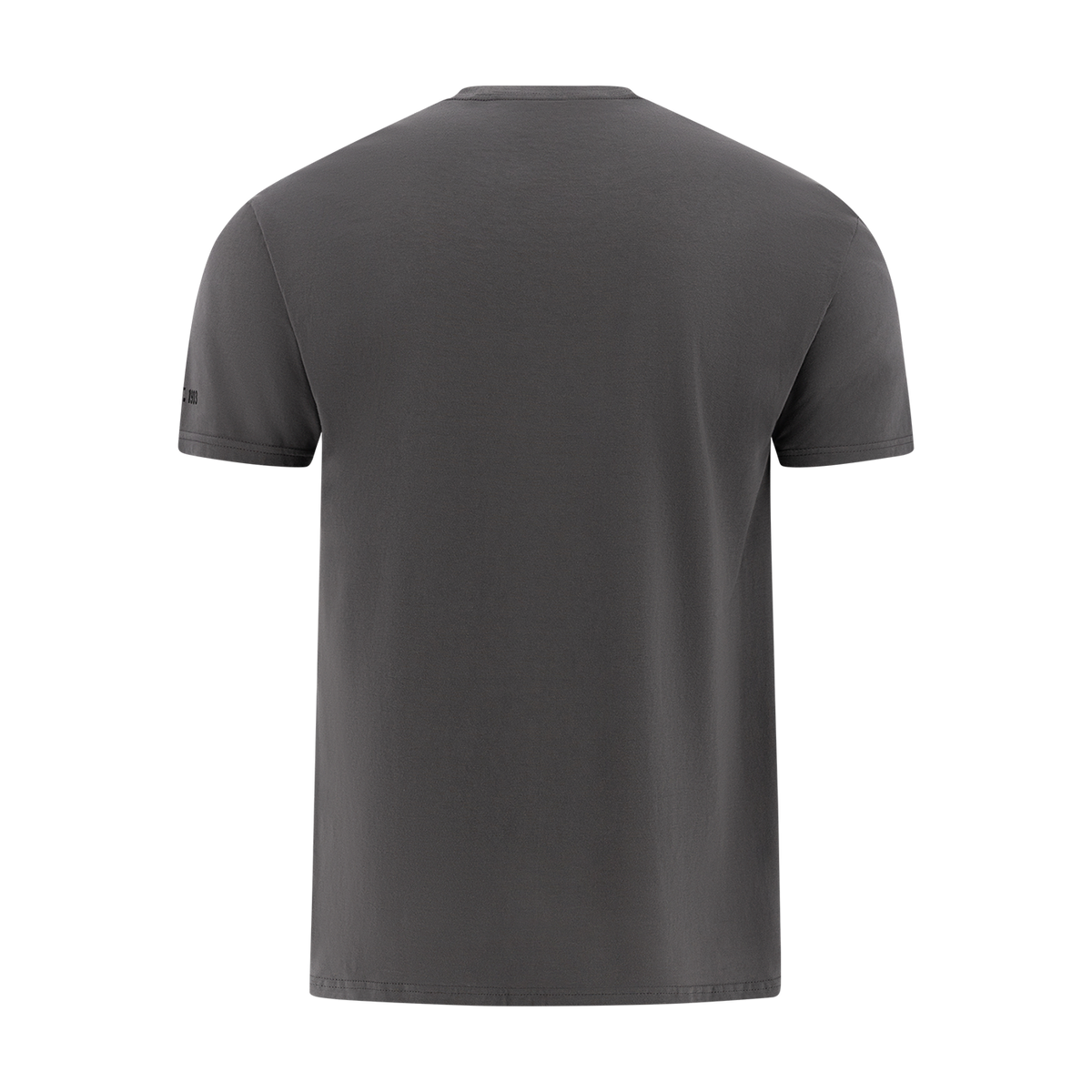 Gray t-shirt on a white background