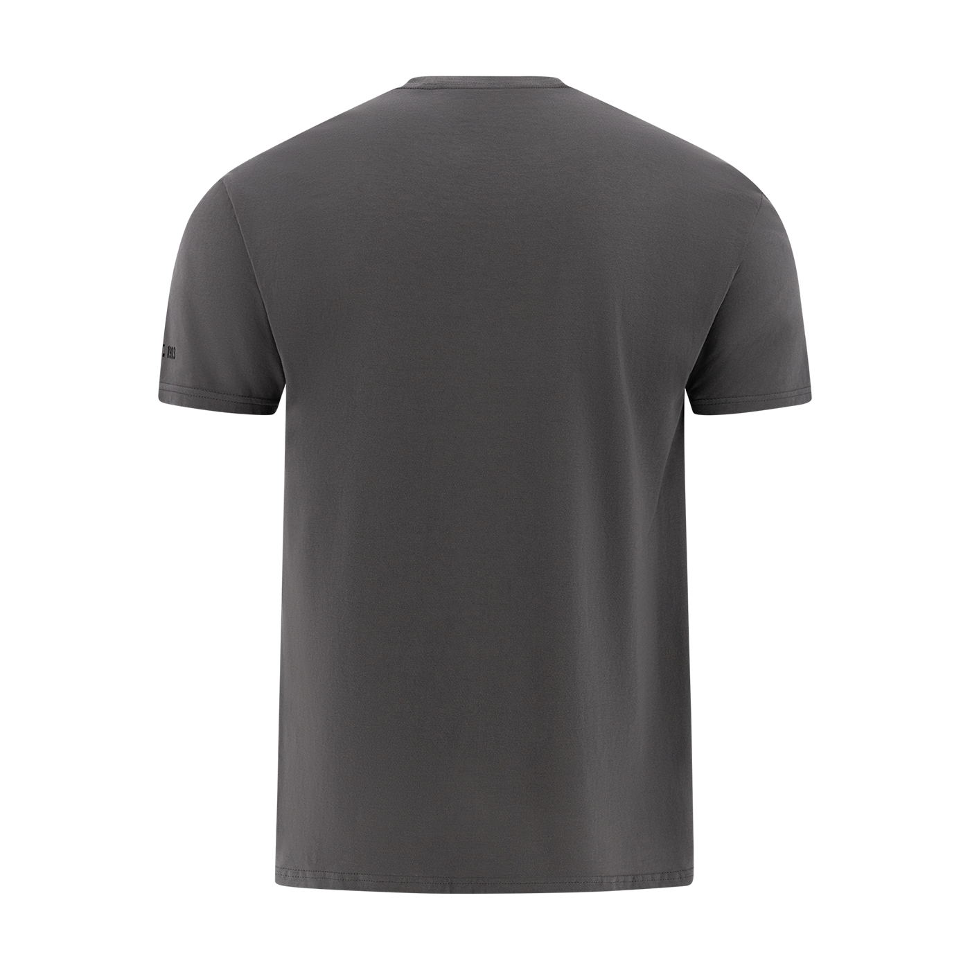 Gray t-shirt on a white background