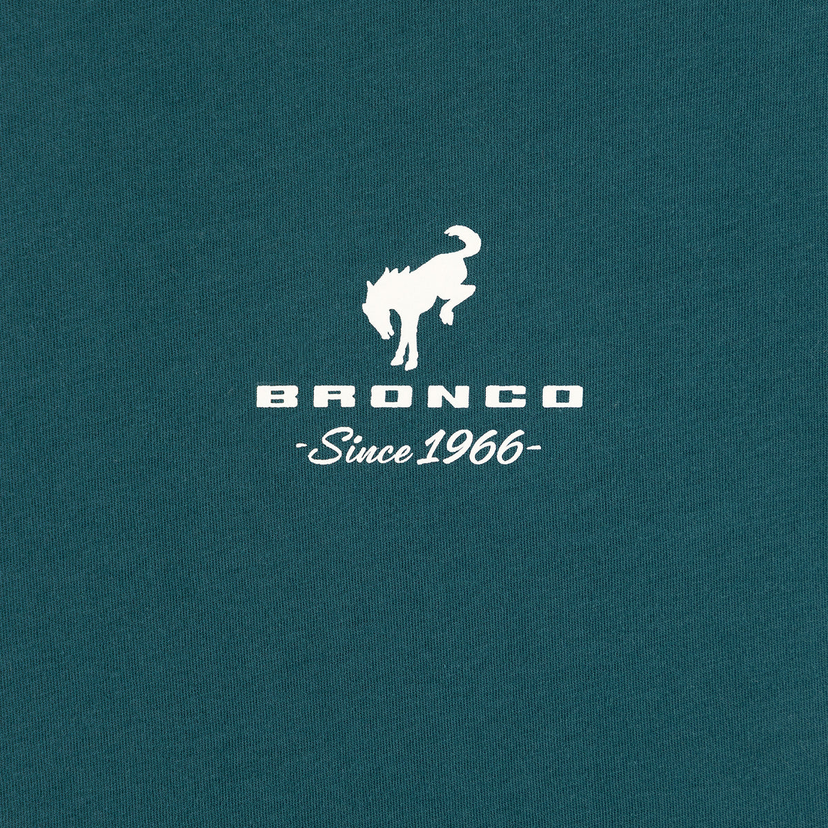 Bronco sine 1966 logo on a teal background