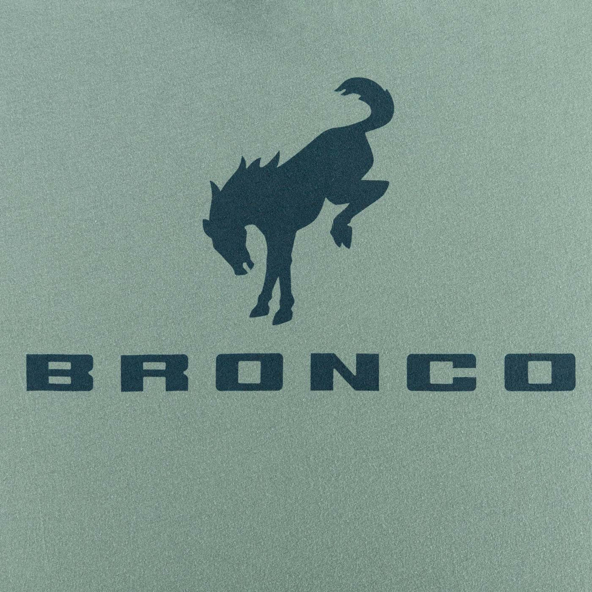 Bronco logo with a stylized horse silhouette on a green background