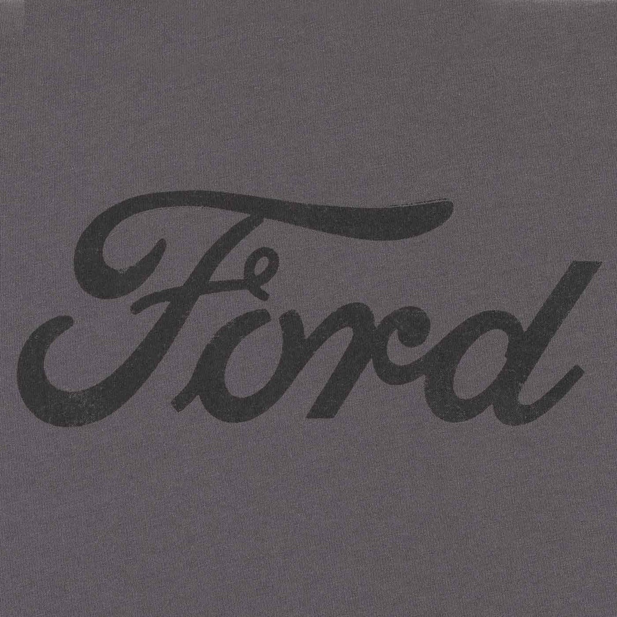 Ford logo in black on a gray background