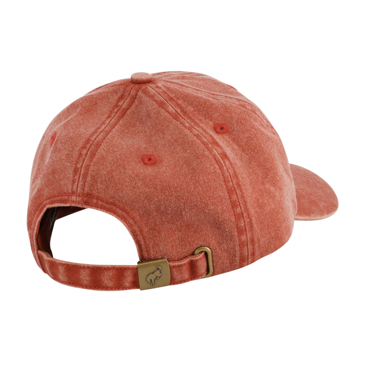 Reddish-brown baseball cap with a gold tag on a white background