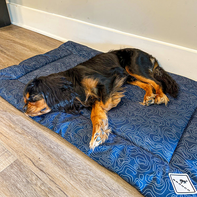 Ford Bronco Topographical Pet Cushion - Lifestyle