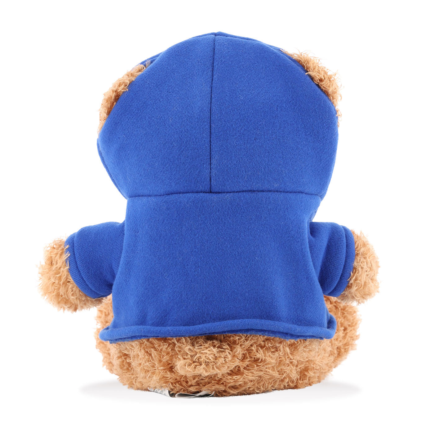 Brown teddy bear wearing a blue hoodie on a white background