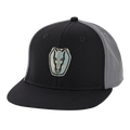 Ford Chrome Dark Horse Snap Back Hat