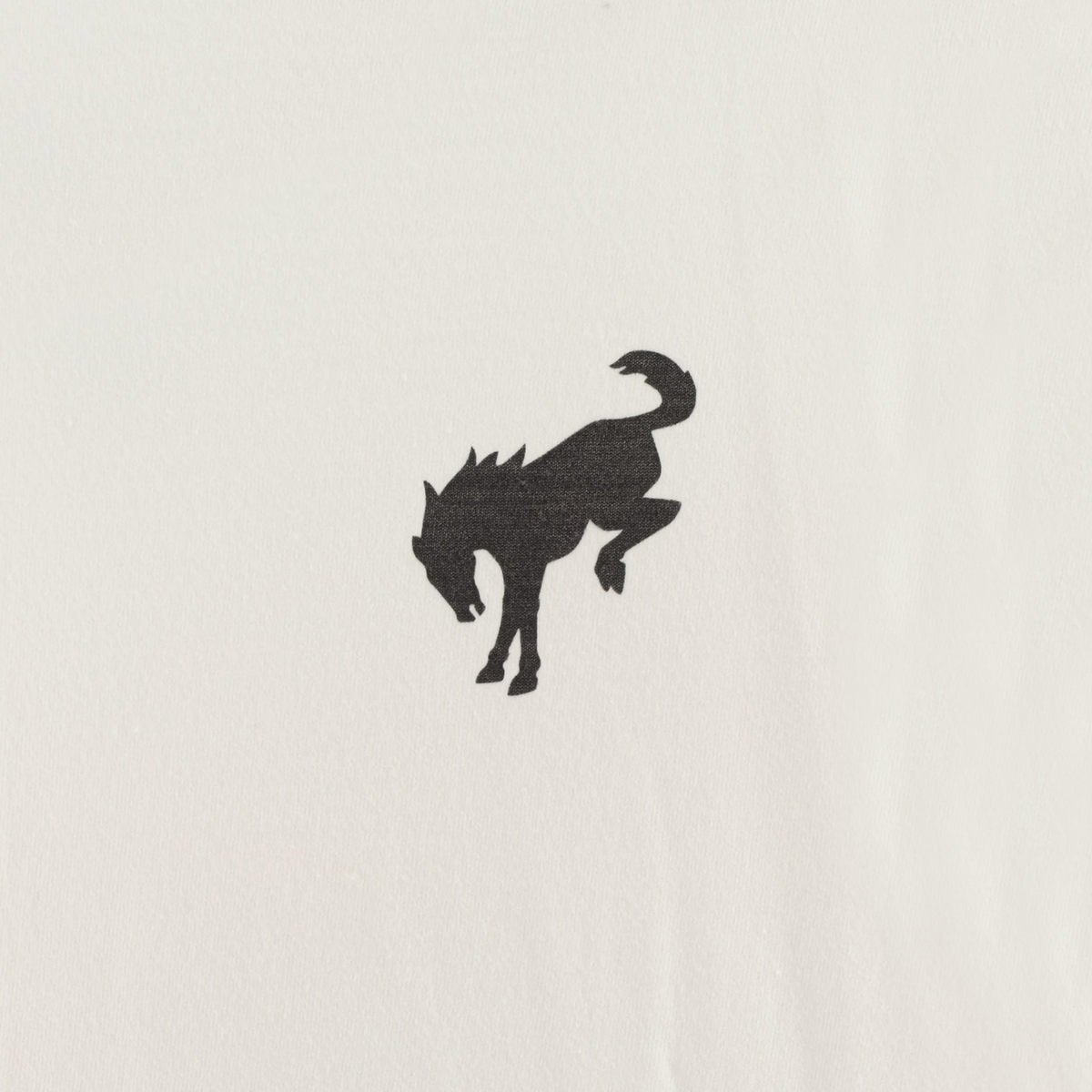 close up of a horse silhouette on a white background