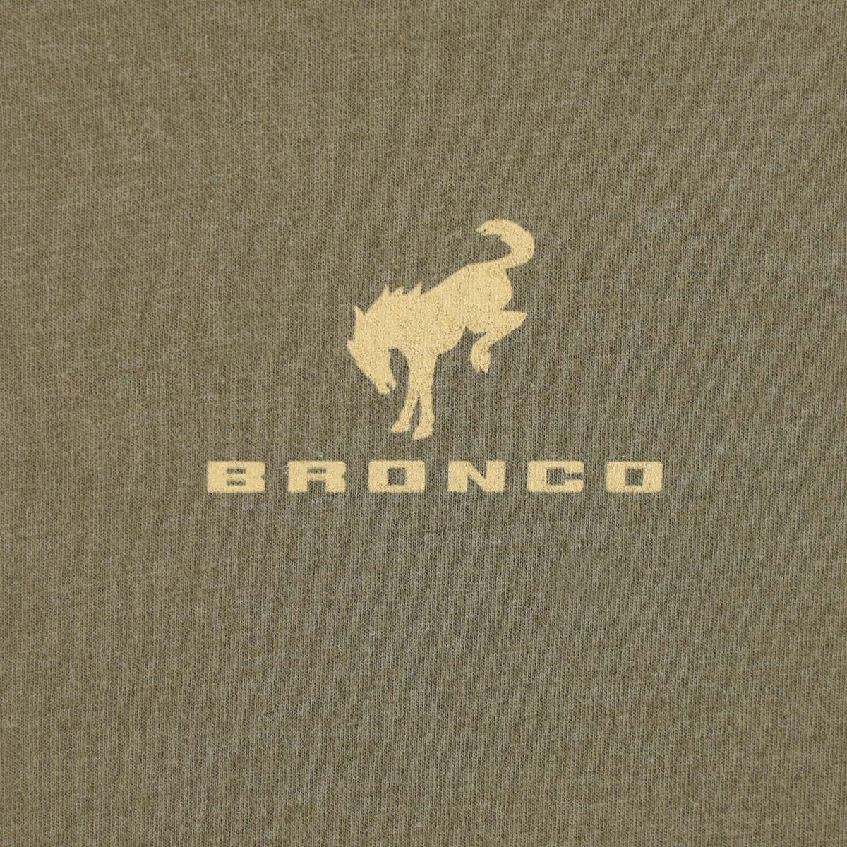 Bronco logo on a textured green background