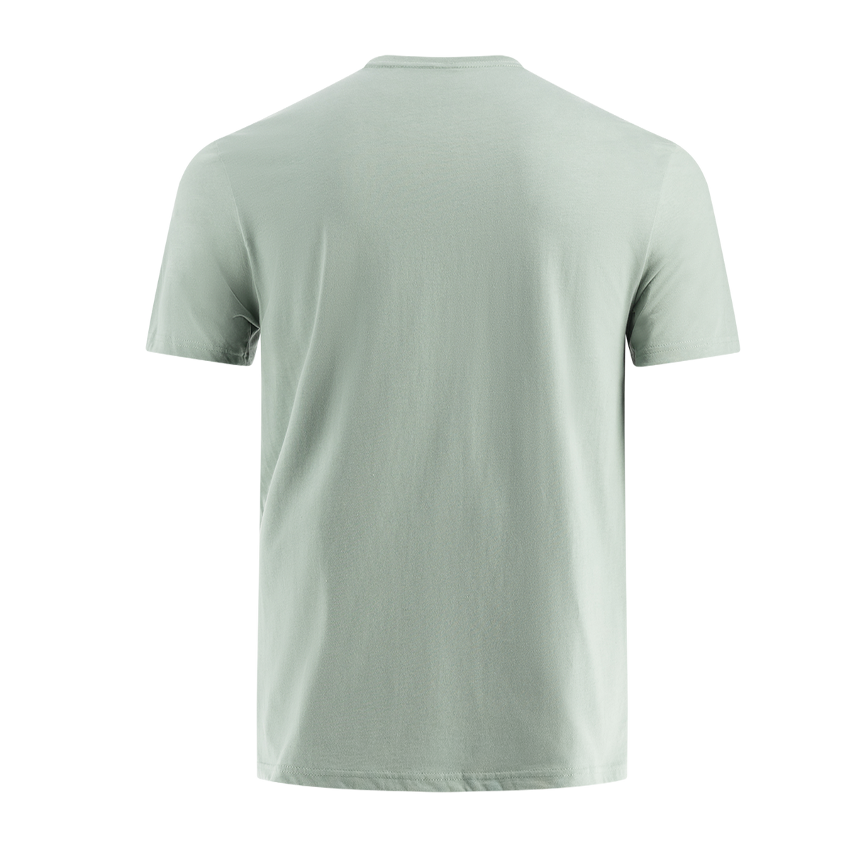 back of mint green men's short sleeve t-shirt