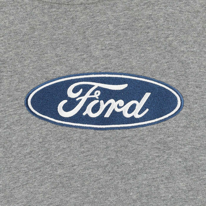 Ford logo on a gray background