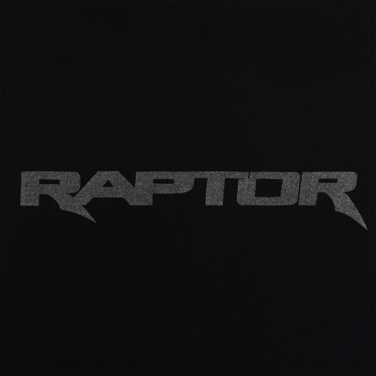 Raptor logo in metallic gray on a black background