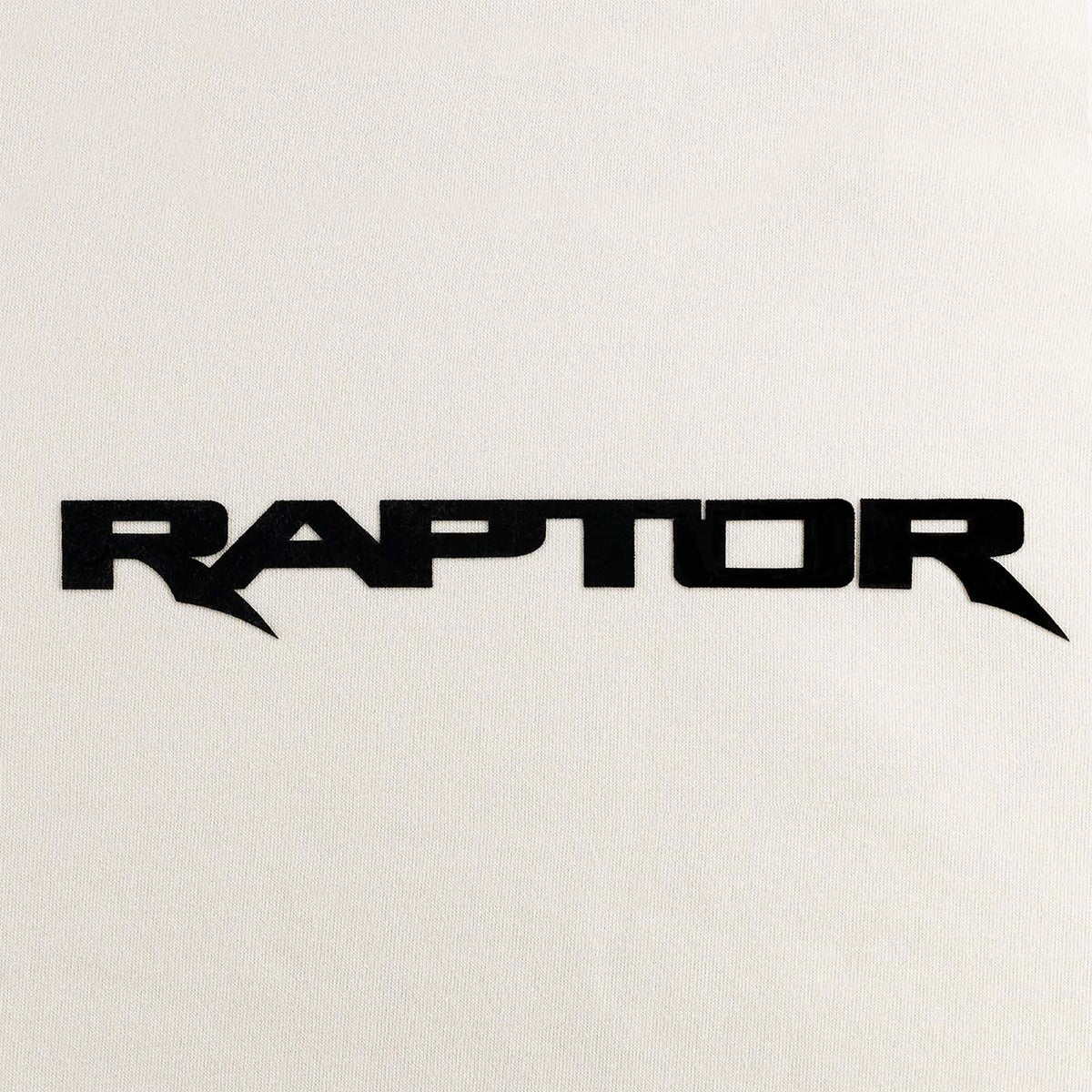 Black 'Raptor' logo on a white background