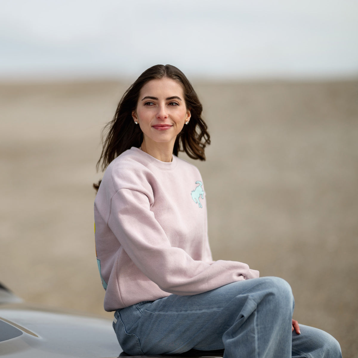 Woman wearing a pink sweatshirt with a logo, sitting on a bronco vehicle against a blurred background