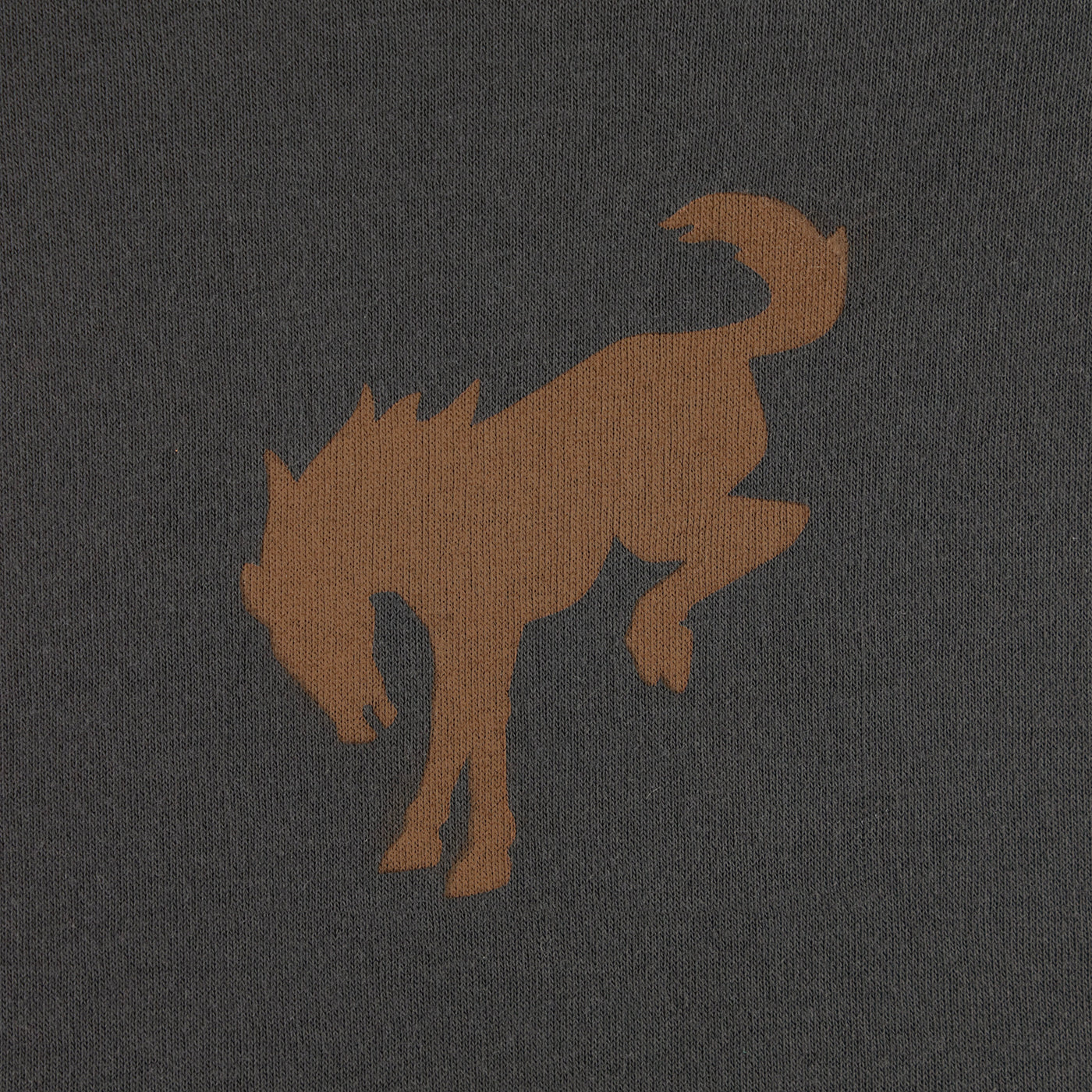 Brown wolf silhouette on a dark gray background