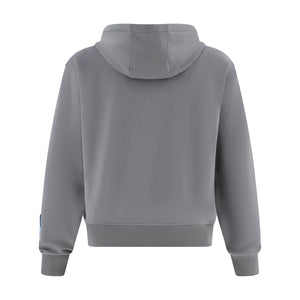 A gray pullover hoodie shown from the back, featuring a simple hood, long sleeves, ribbed cuffs, and a ribbed hem, displayed on a solid white background.