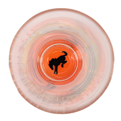 Ford Bronco 16oz Striped Desert Scene Pint Glass