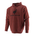 Ford  Bronco Men's Embroidered Hooded Pullover Fleece